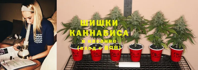 Бошки Шишки THC 21%  Каргат 